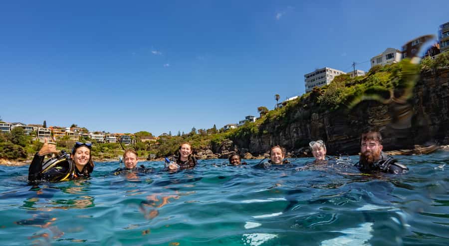 Guided Snorkel Tour at Australias most iconic beach - Geoff James Pool (Clovelly Ocean Pool): where you’ll look for blue grouper and friends