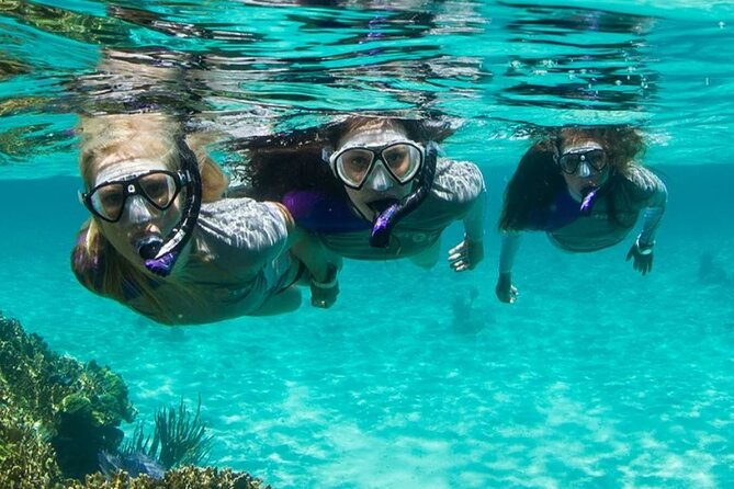 Guided Snorkeling Experience in Bondi - What a 4-hour guided snorkeling day on Bondi Rd is really like