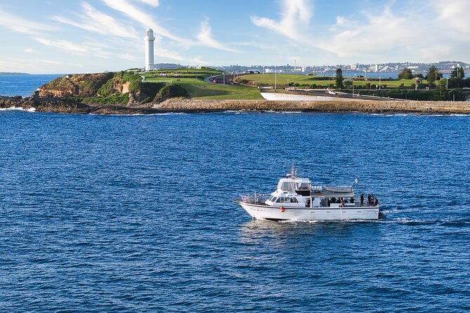Half-Day Deep Sea Fishing in Wollongong - Weekdays only - The 6:00am Start That Actually Pays Off in Time on the Water