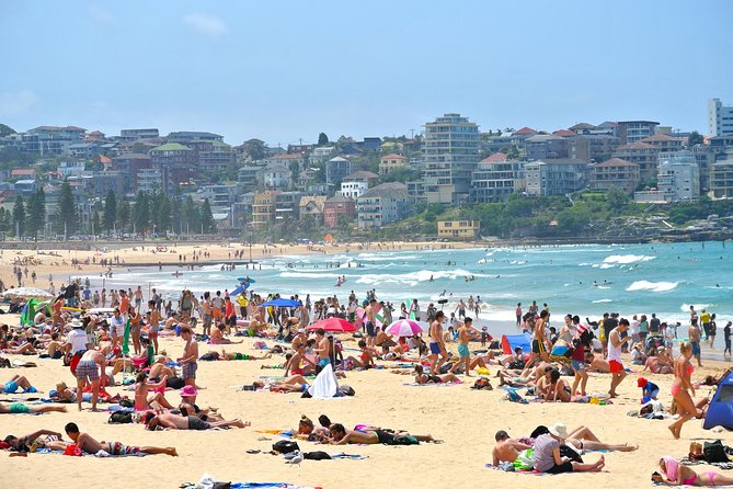 Half-Day or Full-Day Private Guide Hire From Sydney - Your Route Options: Sydney Highlights vs. Hunter Valley vs. Blue Mountains
