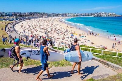 Half-Day or Full-Day Private Guide Hire From Sydney - Hotel Pickup and Comfortable Transport: Why It Changes Everything
