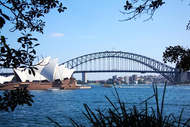 Half-Day or Full-Day Private Guide Hire From Sydney - How the Timing Works for a 4-Hour Tour (and Beyond)