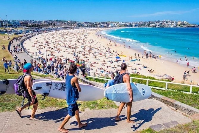 Half-Day or Full-Day Private Guide Hire From Sydney - Hotel Pickup and Comfortable Transport: Why It Changes Everything