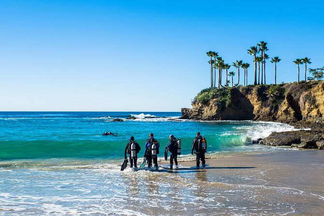 Half-Day Private Discover Dive at Australia's Iconic Beach - Price vs. value: what you’re really paying for