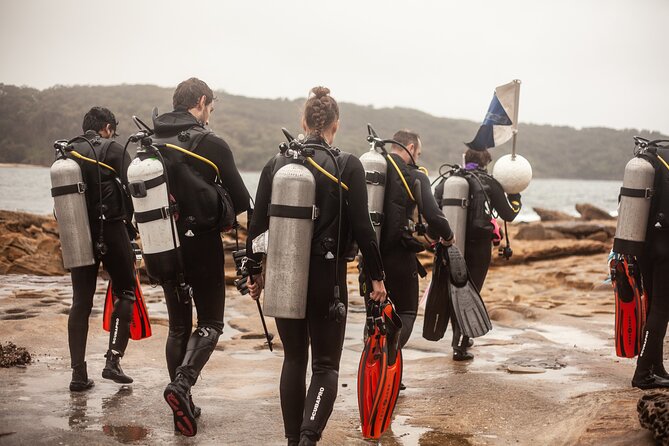 Half-Day Private Discover Dive at Australia's Iconic Beach - Who this is best for (and who might want a different plan)