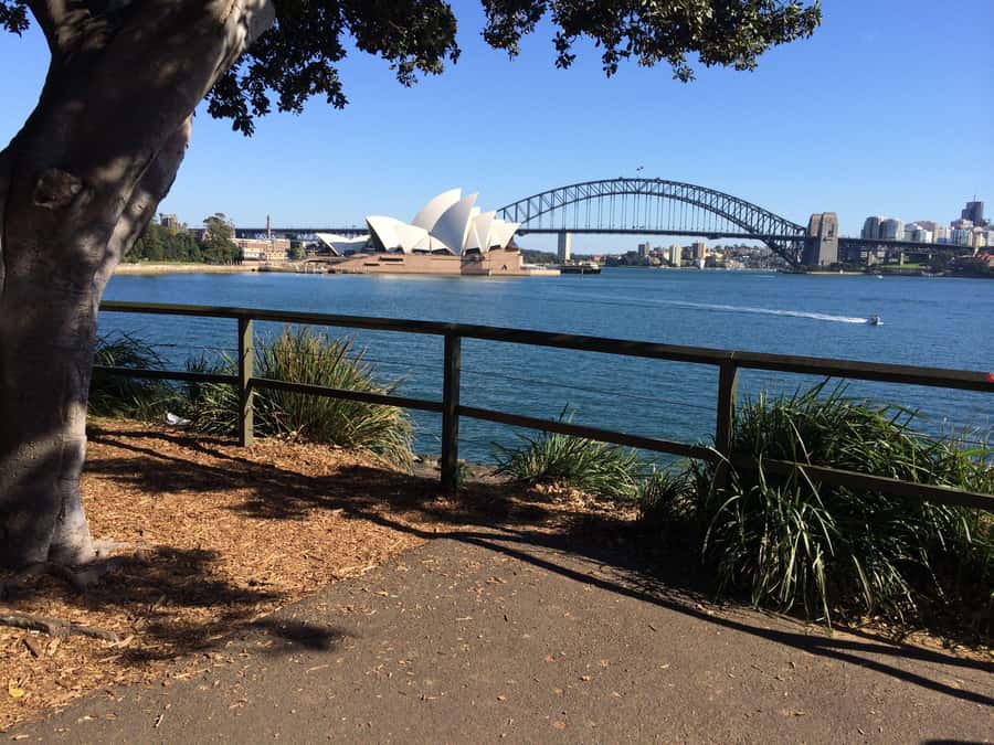 Half Day Small Group : The Story of Sydney Tour - Chinatown and Barangaroo: older layers and new waterfront energy
