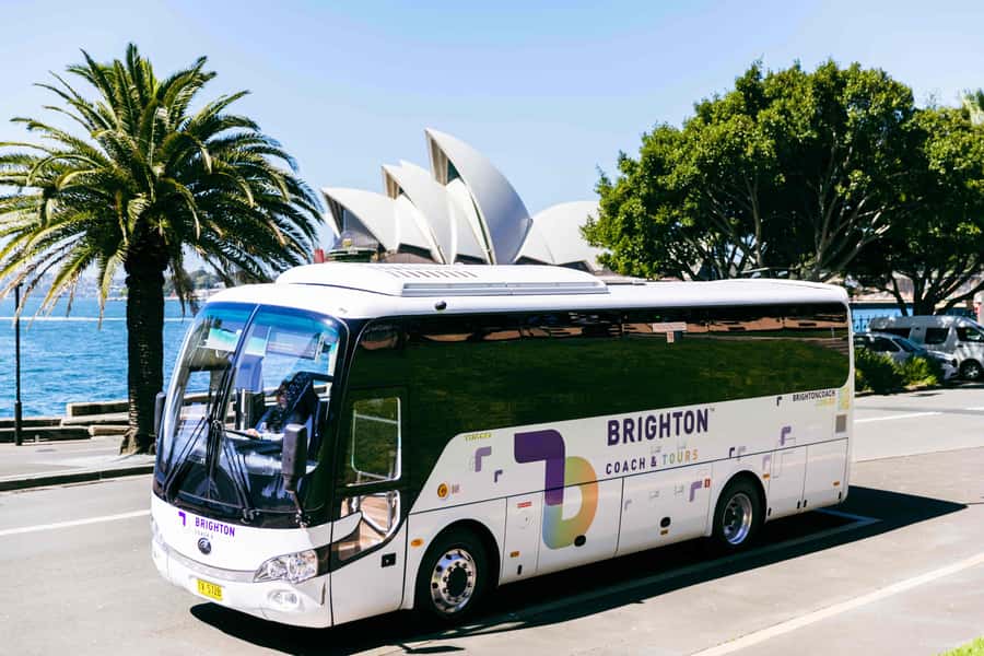 Half Day Sydney Sightseeing Tour - The Rocks & Bondi Beach - Who this tour is best for (and who should pass)