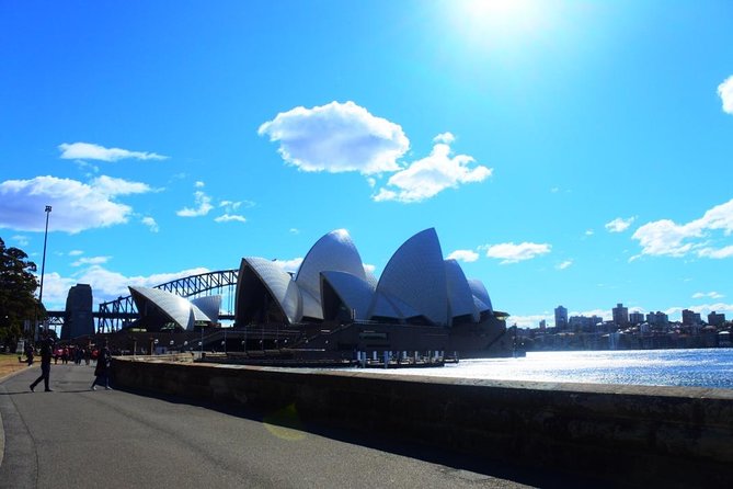 Harbour Sights Running Tour - Mrs Macquarie’s Chair to Opera House sails: panorama running with real context