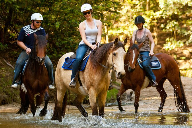 Horse Riding, Koalas & Kangaroos - Wild Australia: Private Tour - Key highlights worth planning around