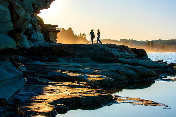 Horse Riding, Koalas & Kangaroos - Wild Australia: Private Tour - Walkabout Wildlife Sanctuary: koalas, kangaroos, and why a guide helps