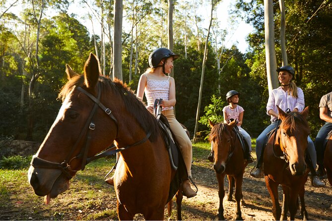 Horse Riding, Koalas & Kangaroos - Wild Australia: Private Tour - Warrah Lookout and the flying fox colony spectacle