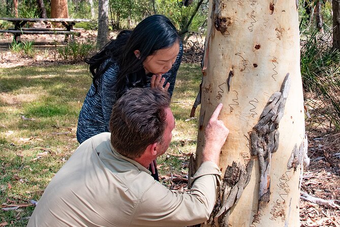 Horse Riding, Koalas & Kangaroos - Wild Australia: Private Tour - Bulgandry Aboriginal Engraving Site: seeing sacred rock art respectfully