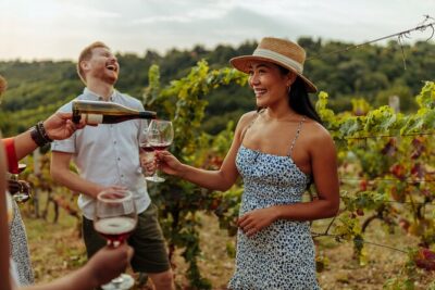 Hunter Valley All Inclusive, Wine, Chocolate Tasting and Lunch - Price and Logistics: Pickup From Sydney, Long Day Reality, and Comfort
