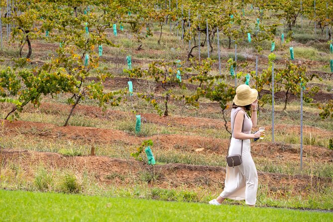 Hunter Valley All Inclusive, Wine, Chocolate Tasting and Lunch - Hunter Valley Gardens Village: A Break From Wine, With More Than Just Souvenirs