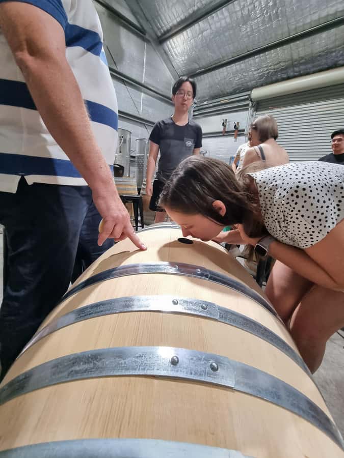 Hunter Valley: Beer & Wine Group Tour - The guide and group vibe: relaxed, friendly, and built for questions