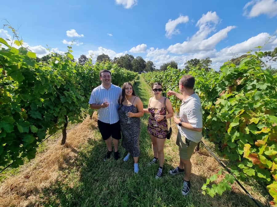Hunter Valley: Beer & Wine Group Tour - Pokolbin pickup and the small-vehicle advantage (12–22 seats)