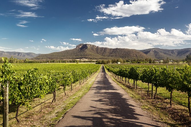 Hunter Valley Highlights Private Wine Tour from Sydney - Hanging Tree Wines: iconic steps and a Harbour backdrop moment