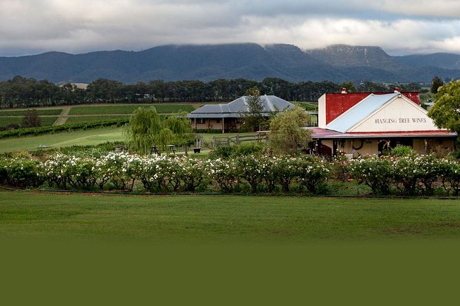 Hunter Valley Highlights Private Wine Tour from Sydney - Hunter Valley Chocolate Company: Belgian-style sweetness without the rush