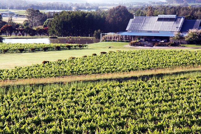 Hunter Valley Private Wine Tasting Tour from Sydney - Quick hits: what makes this Hunter Valley day work