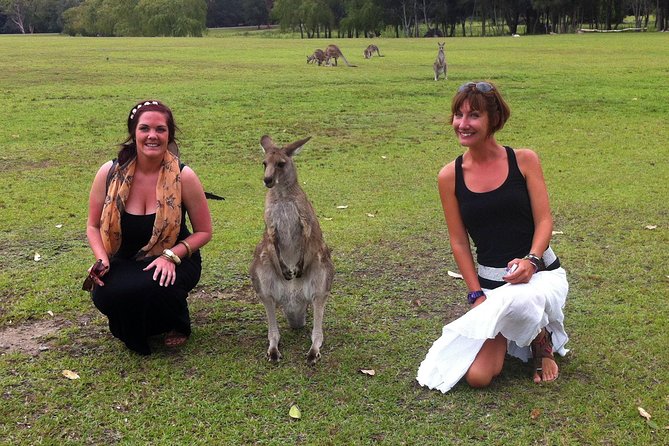 Hunter Valley Private Wine Tasting Tour from Sydney - From Sydney’s Harbour Bridge to Hunter Valley: the ride you’re actually paying for