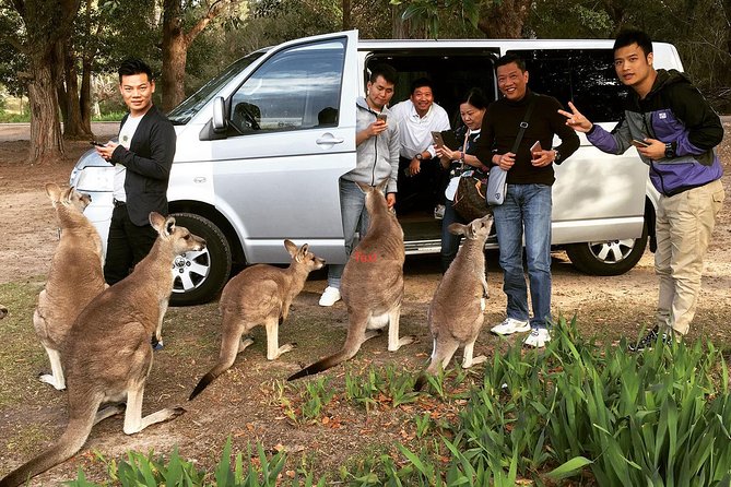 Hunter Valley Private Wine Tasting Tour from Sydney - Three wineries in one day: tastings that match Hunter Valley grapes