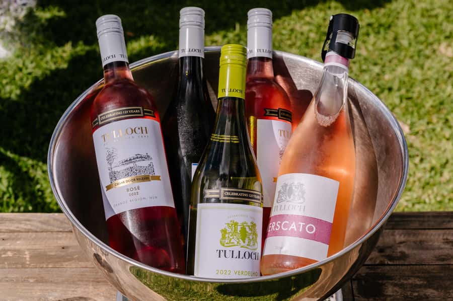 Hunter Valley: Tulloch Wine Tasting and Chocolate Pairings - Family options: junior tastings and teen kombucha add-ons