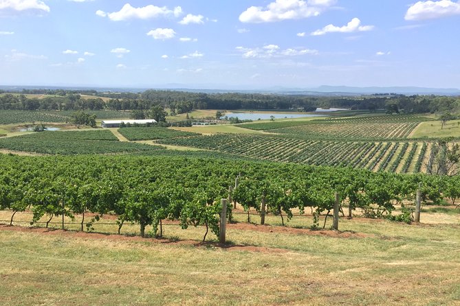 Hunter Valley Wine Tasting Private Tour From Sydney - The Van, the Long Drive, and Why the Safety Factor Matters Here