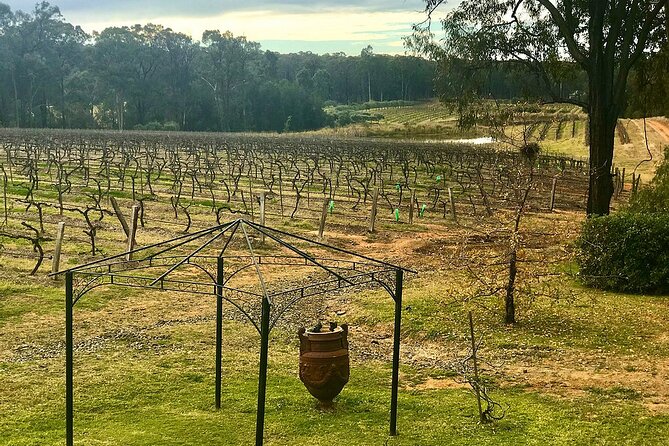 Hunter Valley Wine Tour from Sydney: 3 Wineries & Vineyard Picnic - Who This Tour Is Best For (And Who Might Skip It)