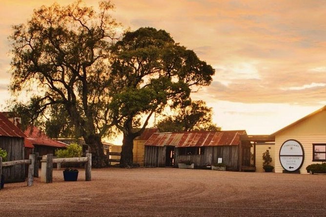 Hunter Valley Wine Tours | Wine Tasting Tours from Sydney - Oakvale Wines (Pokolbin): Organic, Vegan-Friendly, Low-Intervention Style
