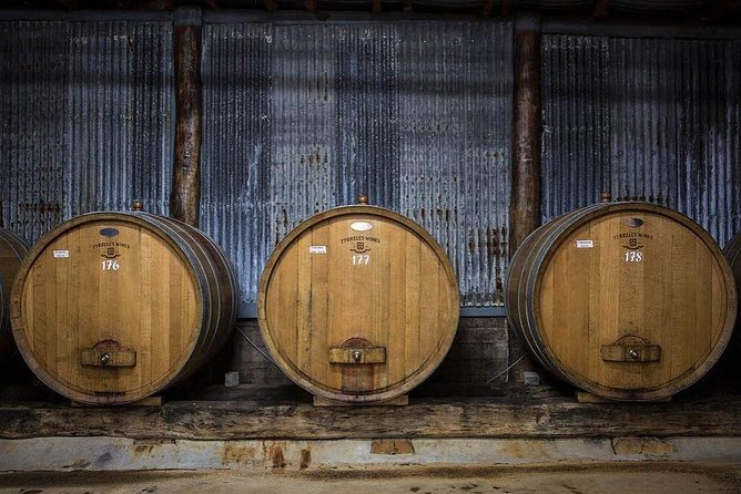Hunter Valley Wine Tours | Wine Tasting Tours from Sydney - Drinking and Driving Is Off the Table
