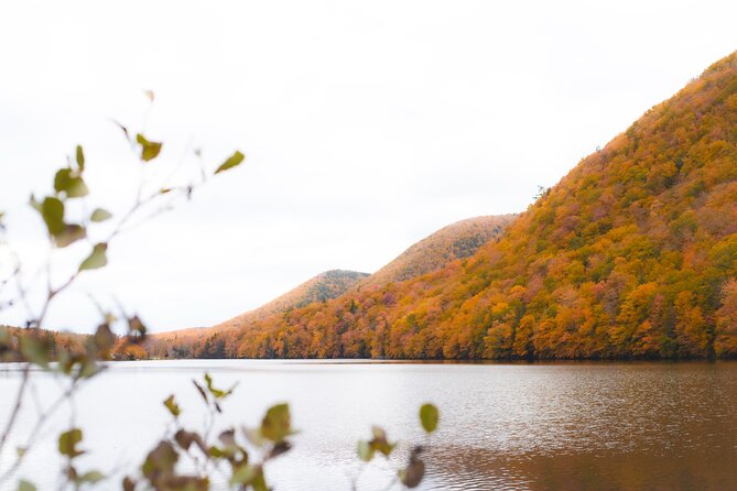 Ingonish and Keltic Lodge 6 Hours Cabot Trail Tour - Key moments worth planning for