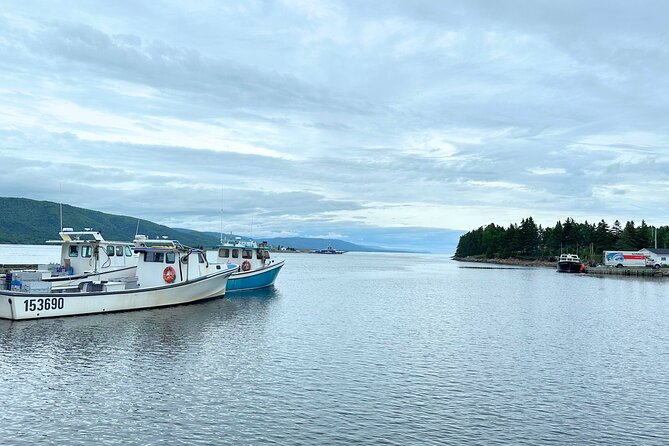 Ingonish and Keltic Lodge 6 Hours Cabot Trail Tour - Price and what you actually get for $148.36