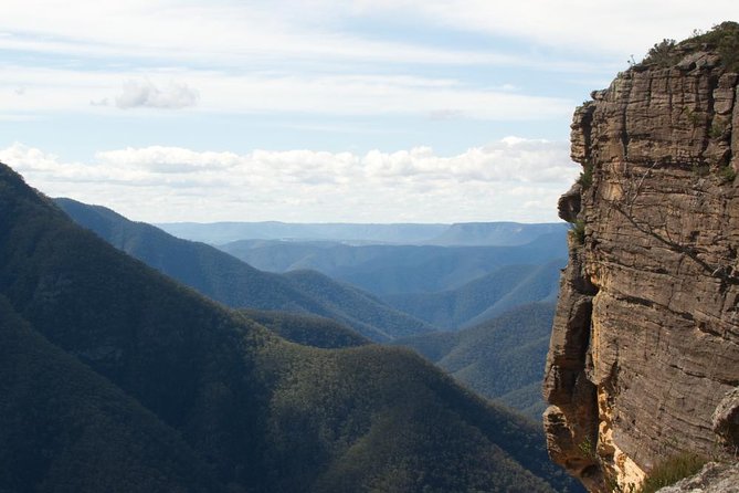 Inside the Greater Blue Mountains World Heritage - A Private Wildlife Safari Overnight - Key highlights that make this overnight feel special