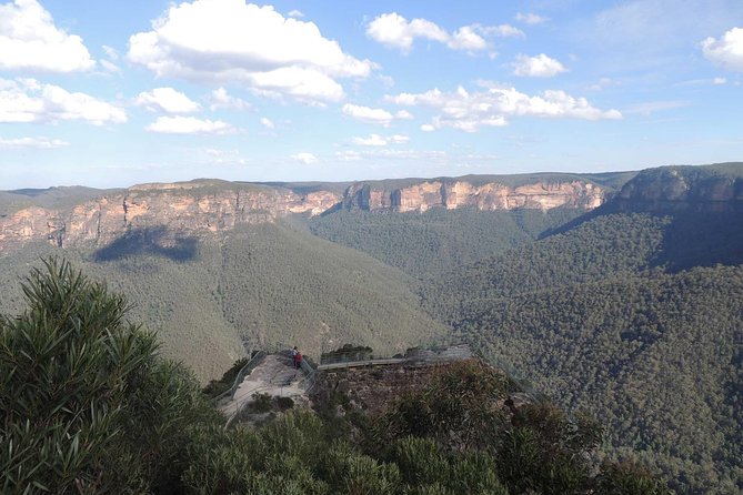 Inside the Greater Blue Mountains World Heritage - A Private Wildlife Safari Overnight - Jenolan Caves (admission included): planning your cave time without stress