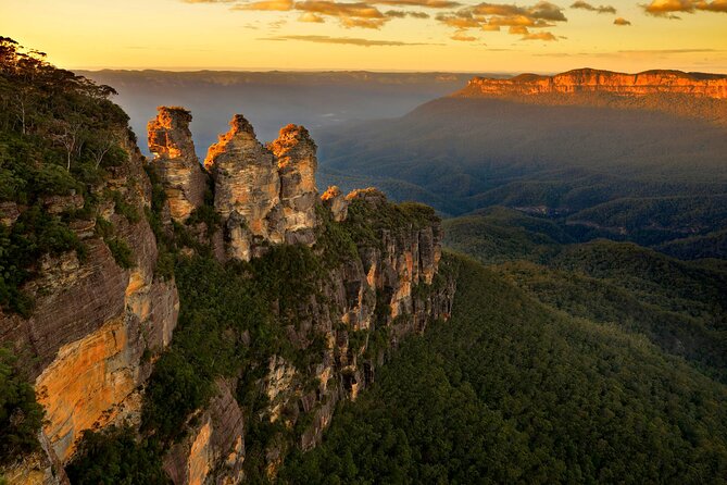 Intimate Blue Mountains Wild Kangaroos & Sunset for Nature Lovers - Why this Blue Mountains day feels different from the usual trip