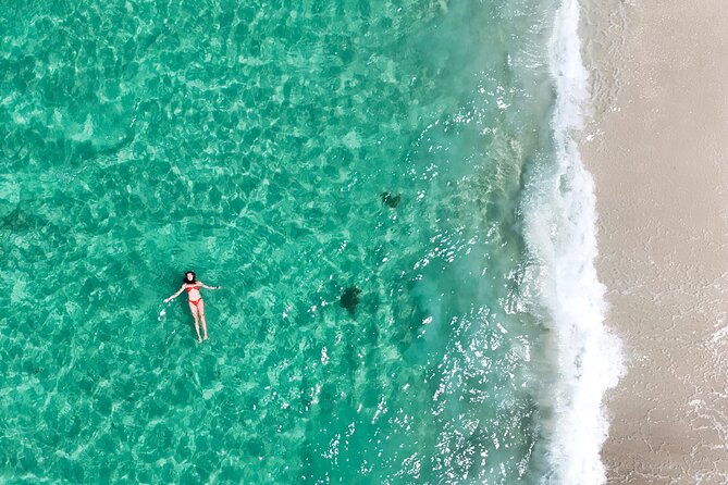 Jervis Bay Highlights Tour – Small Group Experience Scenic Coast - Gerringong lunch with an ocean-view pause (own expense)