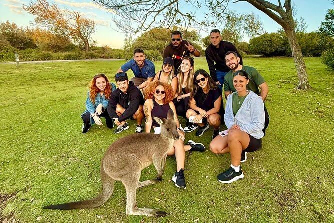 Jervis Bay Highlights Tour – Small Group Experience Scenic Coast - Sea Cliff Bridge secret viewpoint walk: 10–15 minutes above the drama