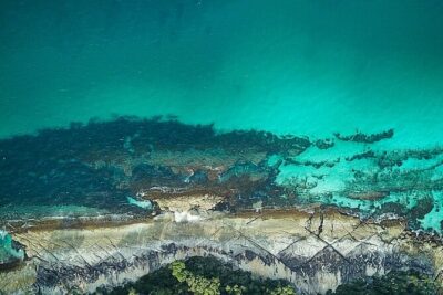 Jervis Bay, Kiama & Kangaroo Valley Day Trip From Sydney-PVT - Price and what you actually get for $353
