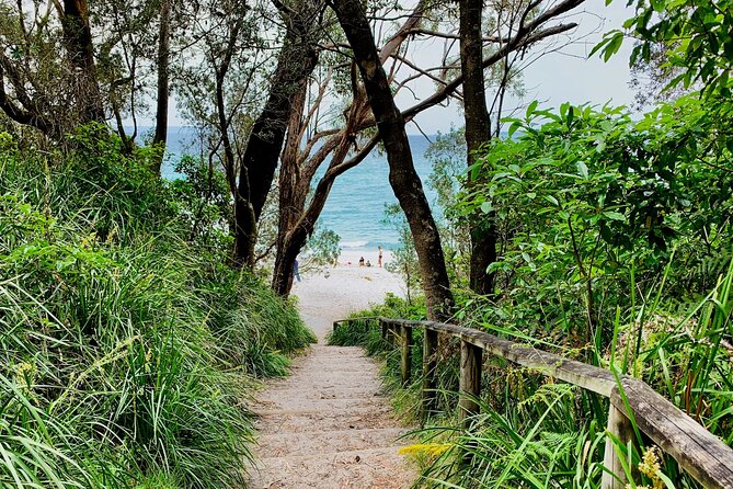 Jervis Bay, Kiama & Kangaroo Valley Day Trip From Sydney-PVT - Sea Cliff Bridge and Grand Pacific Drive on the Return