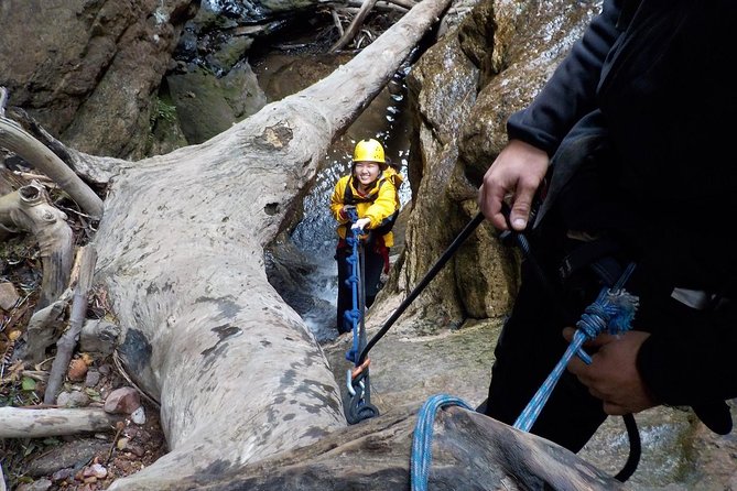 Juggler Canyon and Abseiling Adventure Blue Mountains - Grose Valley Canyoning: Five Up-to-20m Abseils in a Narrow Gorge