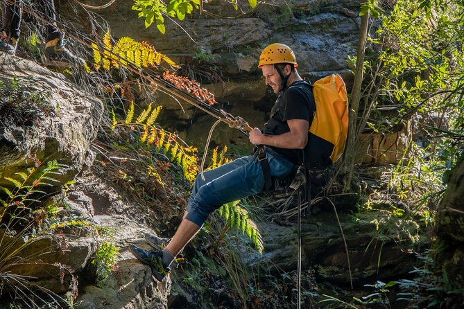 Juggler Canyon and Abseiling Adventure Blue Mountains - Safety Rhythm and Your Guides: The Zol Factor