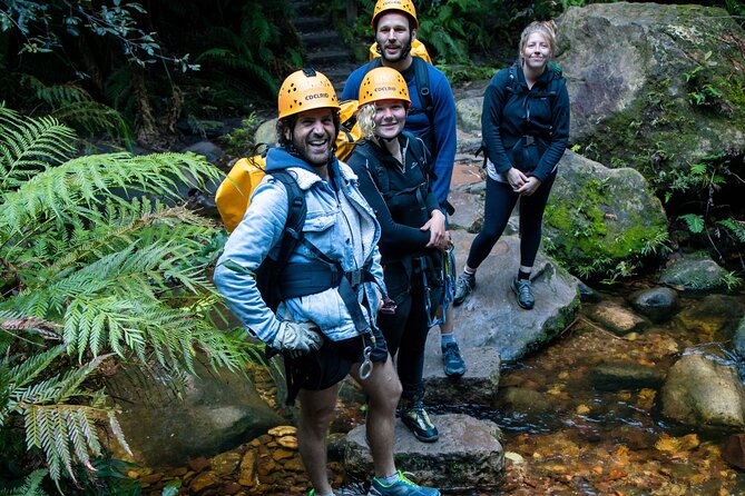 Juggler Canyon and Abseiling Adventure Blue Mountains - Price and Value at $247.45: What You’re Really Paying For