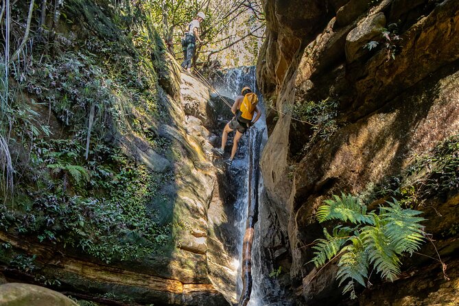 Juggler Canyon and Abseiling Adventure Blue Mountains - Should You Book This Blue Mountains Abseiling Day?