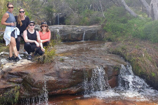 Koala & Kangaroos Experience, Waterfalls and Scenic Train Journey - What to Bring and How to Prepare for a Smooth Day