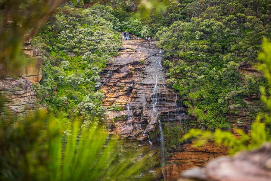Luxury Blue Mountains Escape The Crowds Tour - A luxury Mercedes ride that changes the whole mood