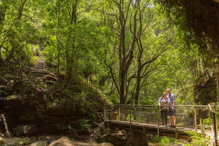 Luxury Blue Mountains Escape The Crowds Tour - Group size, departures, and what pace to expect
