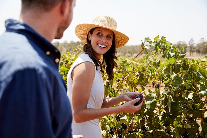 Luxury Hunter Valley Tour: 3 Tastings, Gin, Lunch & Chocolatier - Key highlights you’ll care about