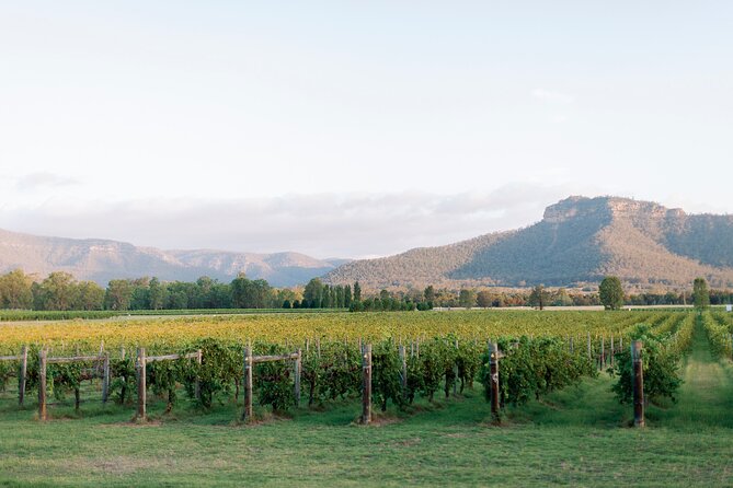 Luxury Hunter Valley Tour: 3 Tastings, Gin, Lunch & Chocolatier - Who should book this luxury Hunter Valley tour