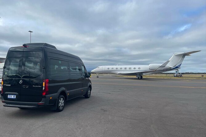 Luxury Mini Bus - Sydney Airport Transfers - Luggage help and the European-van comfort check