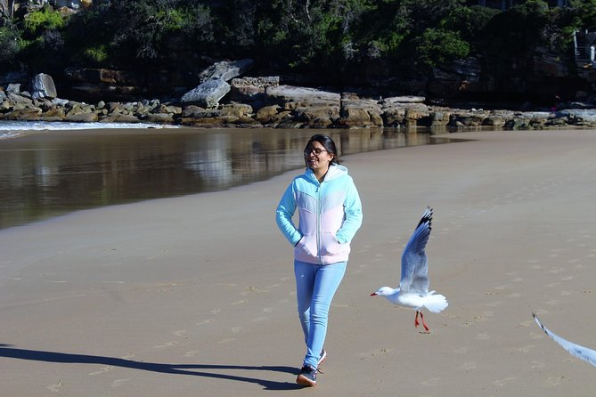 Manly and more private tour - Northern Beaches With a Plan: What This Tour Really Delivers